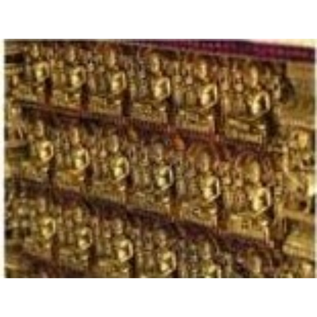 24 Jain Tirthankars Gold Plated