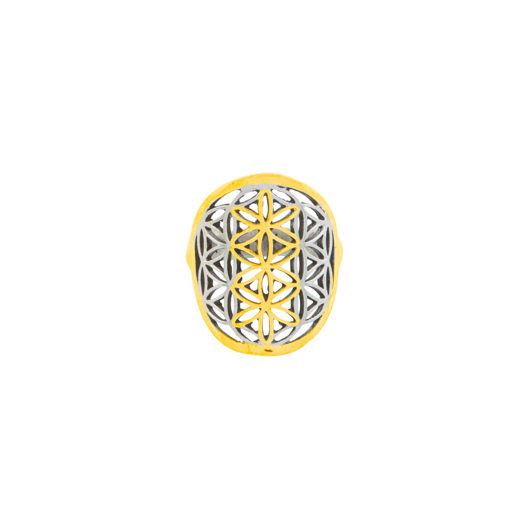 Parkha Jaali Vertical Dual Gold Plated Adjustable Ring